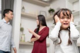 lawyer expert in Family Law